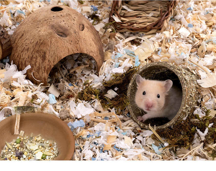 Natural Paper Tube with Dried Herbs and Flowers for Hamsters