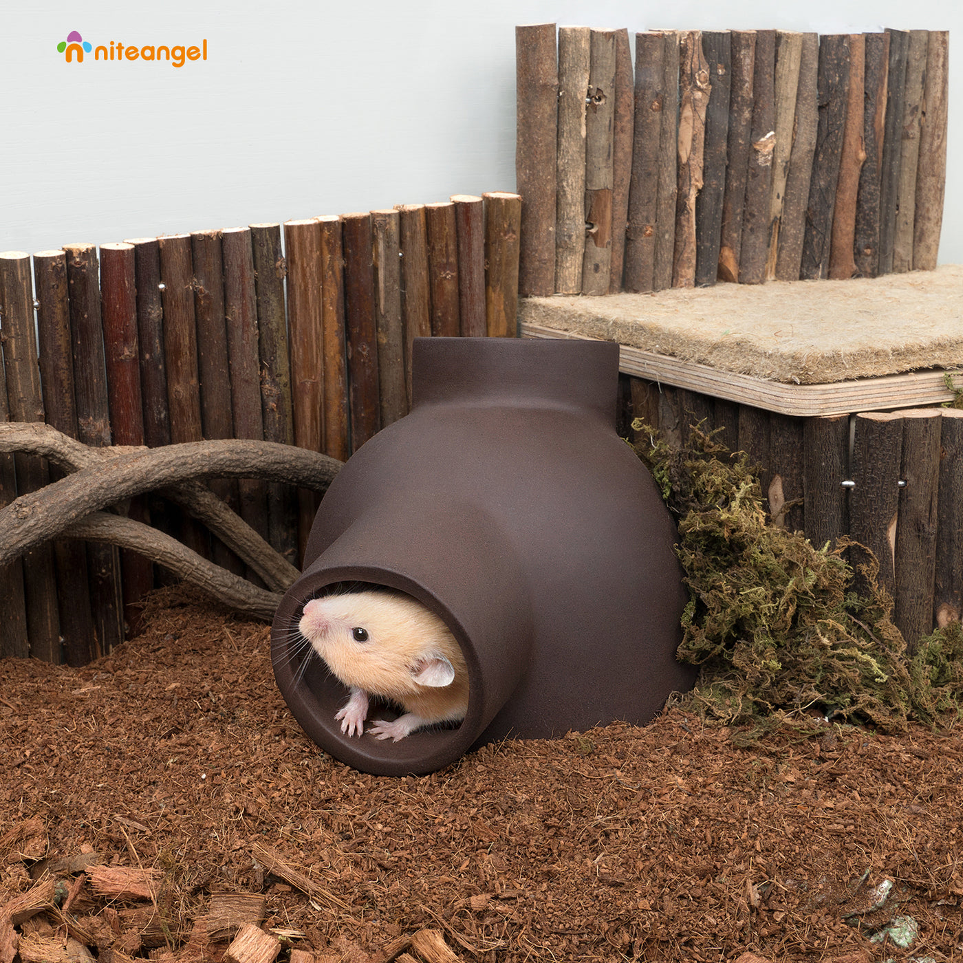 Niteangel Ceramic Hamster Tunnel & Tubes Hideout: for Dwarf Robo Syria ...
