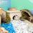 Niteangel Hamster House for Hamsters Gerbils Mice or Similar-Sized Pets (Triangle-Shaped Hamster Hut)
