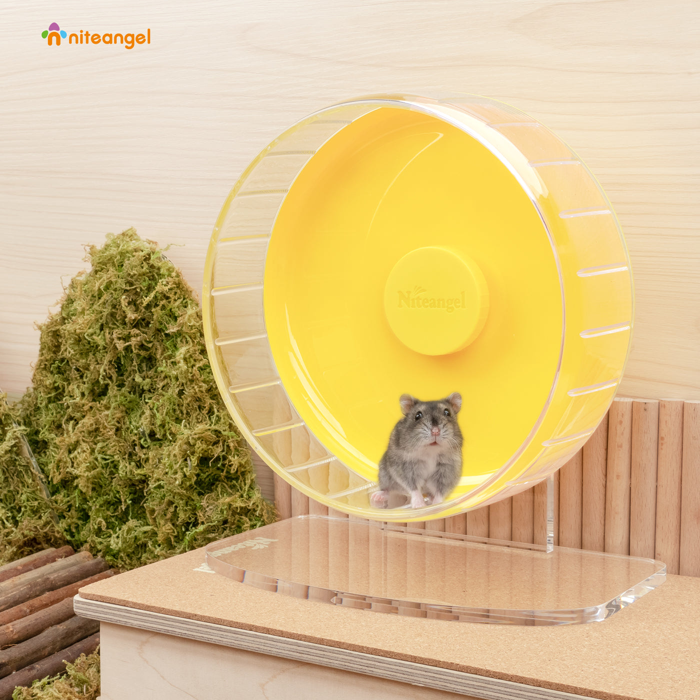 Illustration of Hamster Exercise Wheel Speed Adjustment