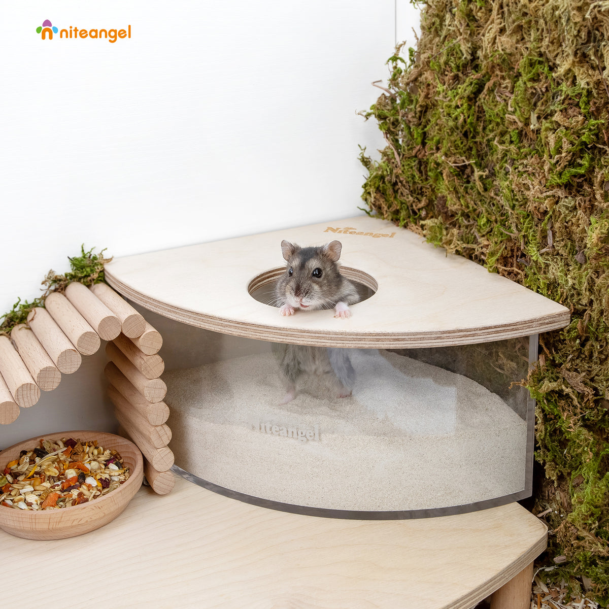 thumbnail image 2 of ＡＷＨＡＯ Deluxe Hamster Sand Bath Box - Premium Acrylic Container For Small Pets, Pentagram S 2 of 12