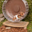 Niteangel Anti-Slide Hamster Wheel Platform - Fits Super-Silent Hamster Wheel | Acrylic Wheel | Wooden Wheel | Cloud Series Hamster Wheel